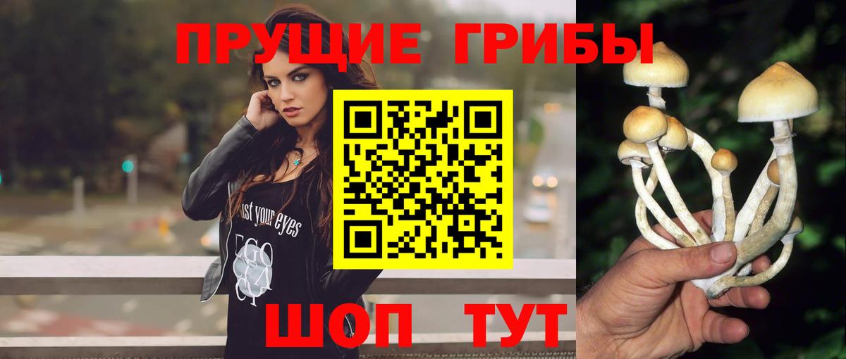 Ирбит  Галлюциногенные грибы Magic Shrooms  Вход с VPN 